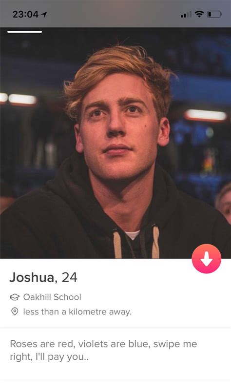 bedste tinder bio|50 Best Tinder Bios For Guys To Get More Matches。